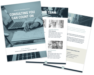 Consulting