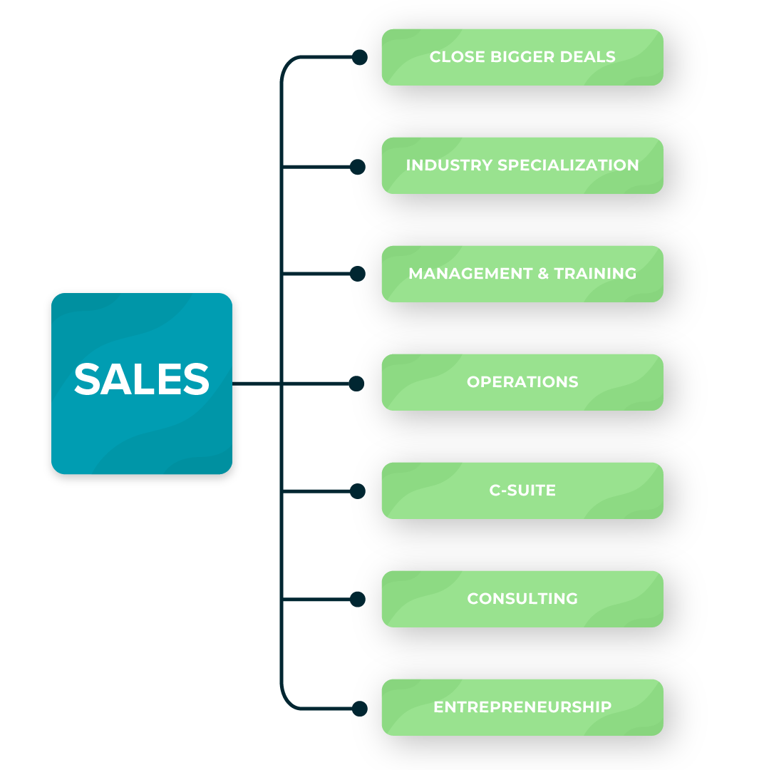 Career path options in sales