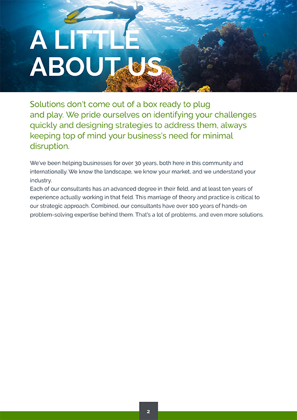 about us proposal page design sample