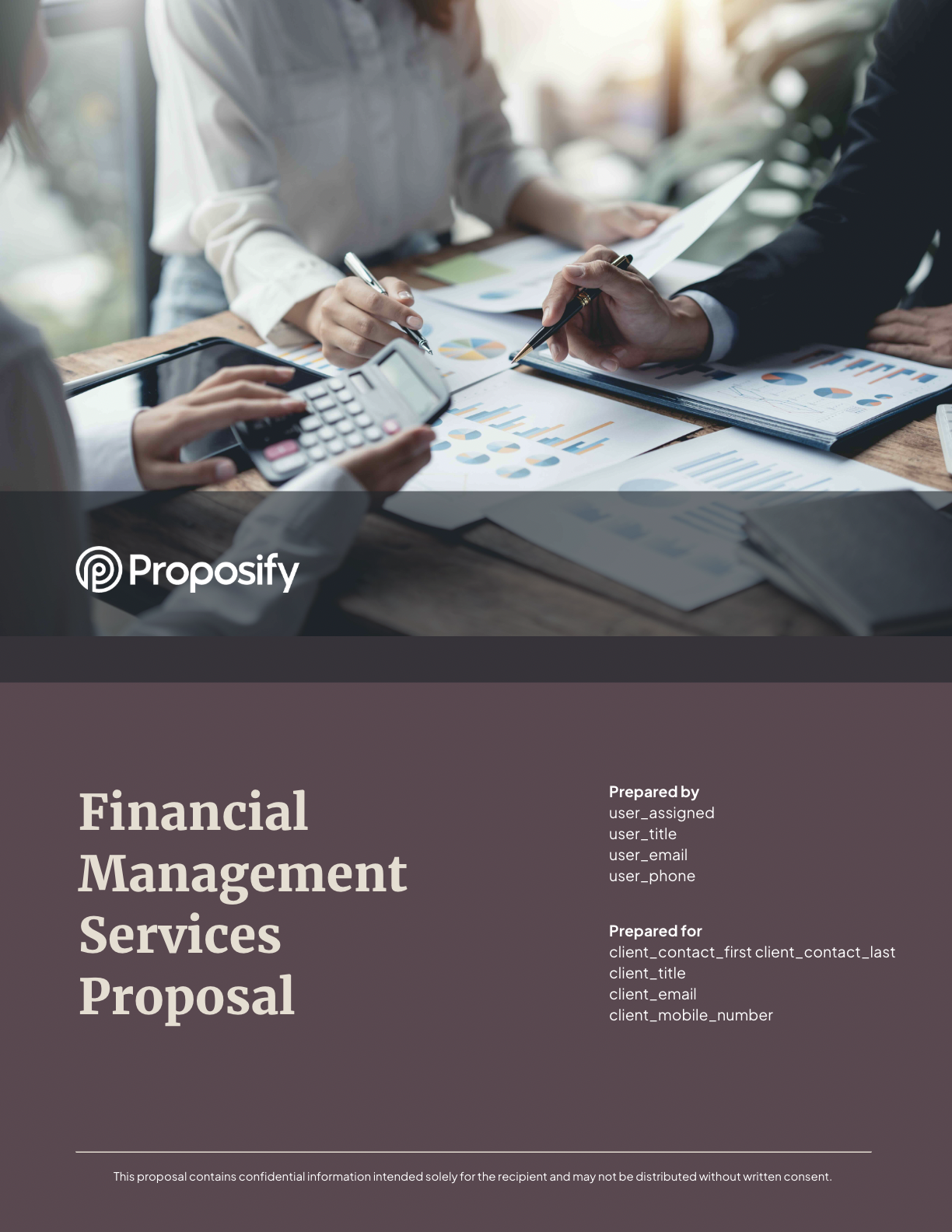 Financial Services Proposal Template Thumbnail
