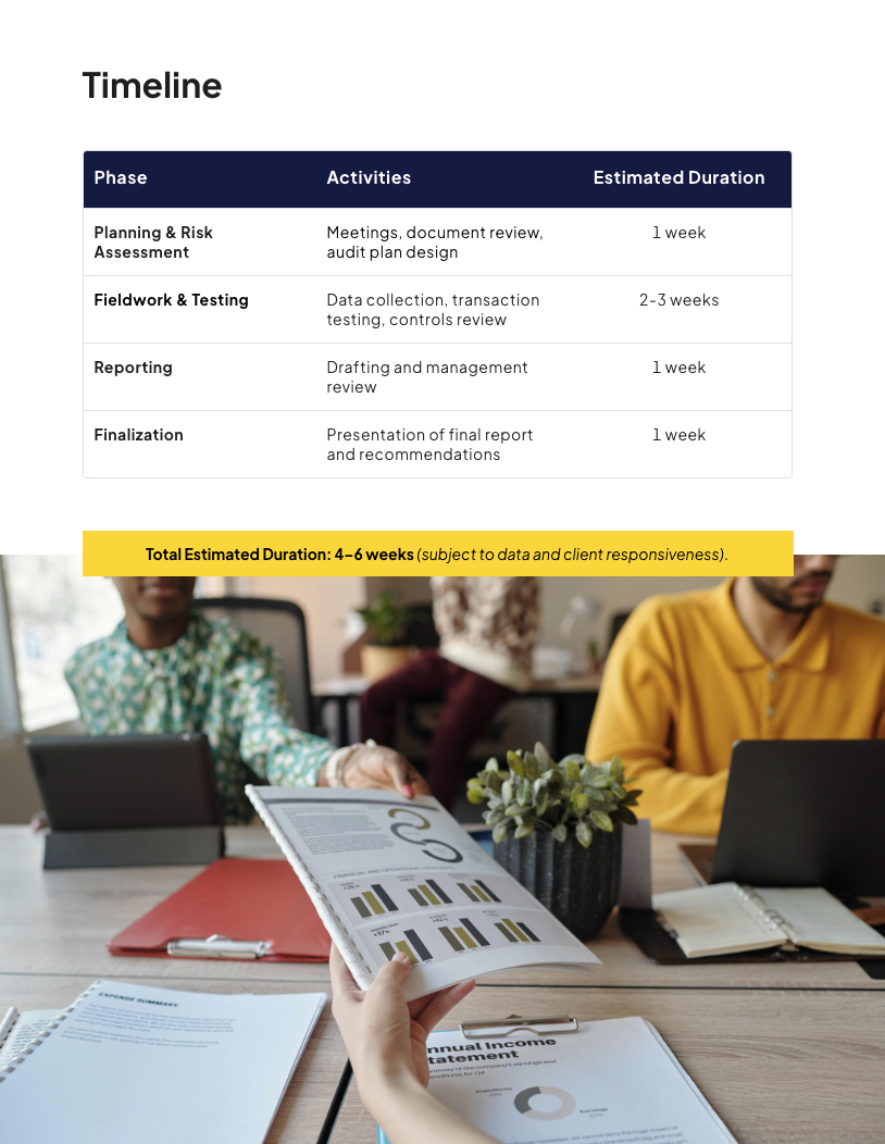 Business Audit Proposal Template
