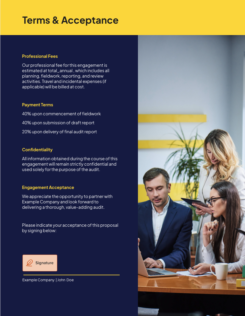 Business Audit Proposal Template